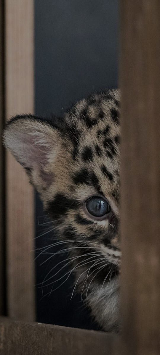 Profil de Yanael