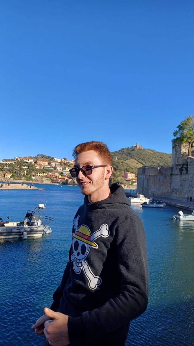 Profil de Emilian